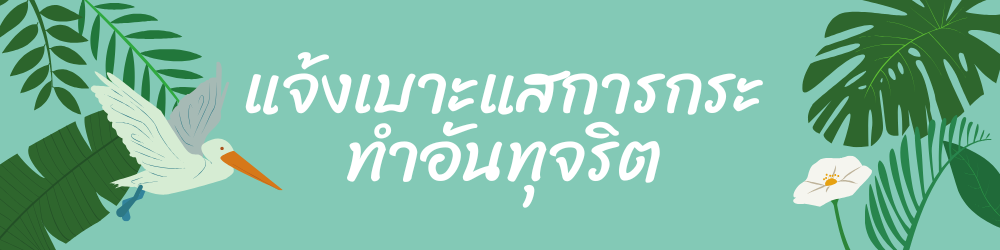 Relateds Banner Slider-68b555226c019.png